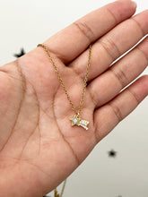 Load image into Gallery viewer, Estrella Fugaz
