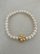 Load image into Gallery viewer, Flor Dorada
